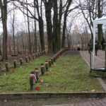 Obchody Święta Niepodległości (2007)