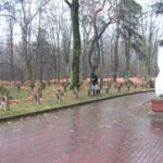 Obchody Święta Niepodległości (2007)