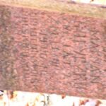 Obchody Święta Niepodległości (2007)