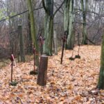 Obchody Święta Niepodległości (2007)