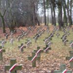 Obchody Święta Niepodległości (2007)