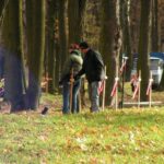 Obchody Święta Niepodległości (2007)