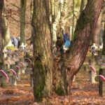 Obchody Święta Niepodległości (2007)