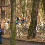 Obchody Święta Niepodległości (2007)