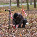 Obchody Święta Niepodległości (2007)