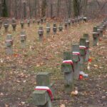 Obchody Święta Niepodległości (2007)