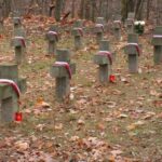 Obchody Święta Niepodległości (2007)