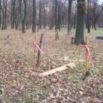 Obchody Święta Niepodległości (2007)