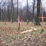 Obchody Święta Niepodległości (2007)