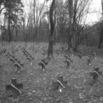 Obchody Święta Niepodległości (2007)