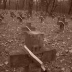 Obchody Święta Niepodległości (2007)