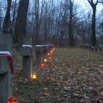 Obchody Święta Niepodległości (2007)