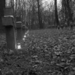 Obchody Święta Niepodległości (2007)