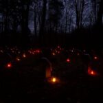 Obchody Święta Niepodległości (2007)