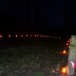 Obchody Święta Niepodległości (2007)