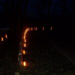 Obchody Święta Niepodległości (2007)