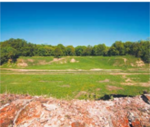 rawelin napoleoński